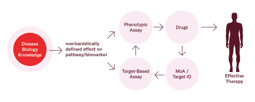 effective drug discovery strategies