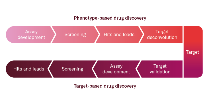 Phenotypic vs target based drug discovery