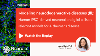 10cc175e05230f20-400x0-0-files-Events-WEBINAR-Poster_04Replay-Webinar-replay-Human-iPSCs-derived-neuronal-and-glial-cells-as-relevant-models-for-Alzhe