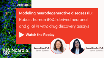 3646d8954fa815b8-400x0-0-files-Events-WEBINAR-Poster_Replay-Webinar-replay-Robust-hiPSC-derived-neuronal-and-glial-in-vitro-drug-discovery-assays-