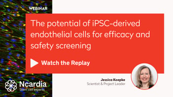 4727277c37bf92db-400x0-0-files-Events-WEBINAR-Poster_07Replay-Webinar-replay-The-potential-of-iPSC-derived-endothelial-cells-for-efficacy-and-safety-s