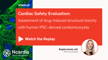 4ee68ae38d23704f-400x0-0-files-Events-WEBINAR-Poster_05Replay-Webinar-replay-Assessment-of-drug-induced-structural-toxicity-with-human-iPSC-derived-ca