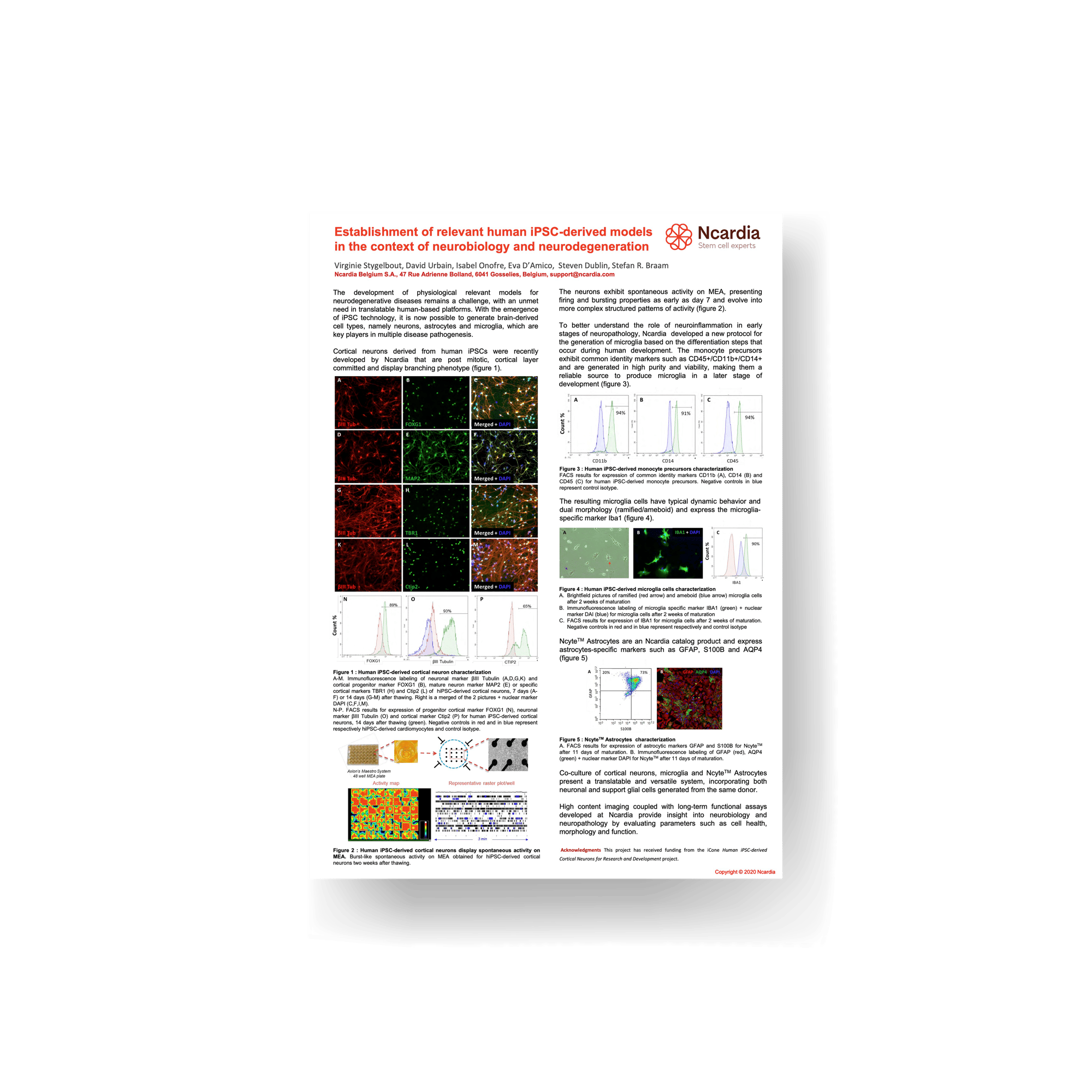 Scientific poster- Establishment of human iPSC-derived models in neurodegeneration