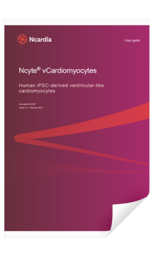 User guide Ncyte® vCardiomyocytes