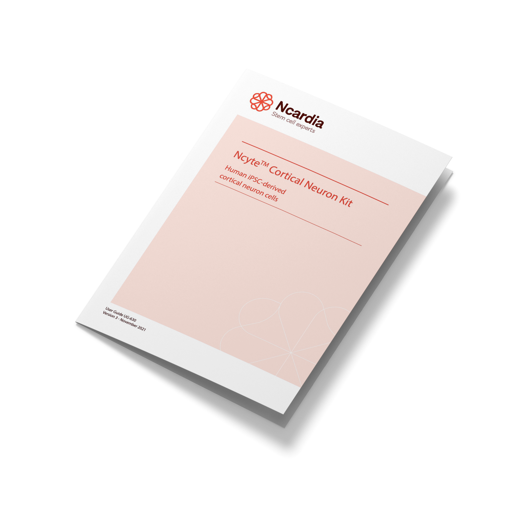 User guide- Ncyte® Cortical Neuron Kit