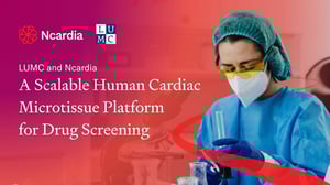 Ncardia featured image