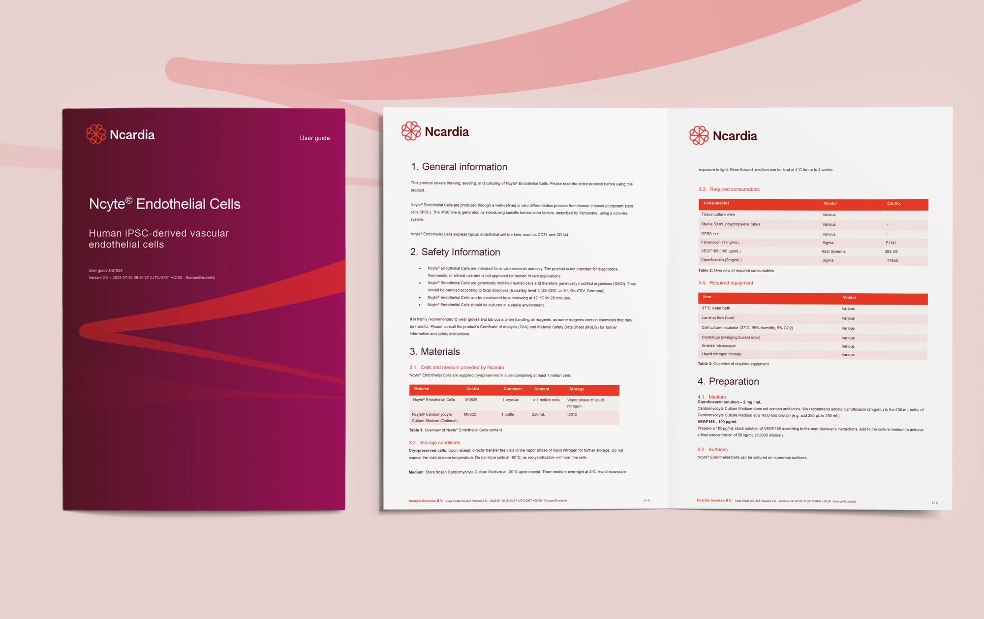 Ncardia_Endothelial-Cells-User-Guide_Thumbnail-1