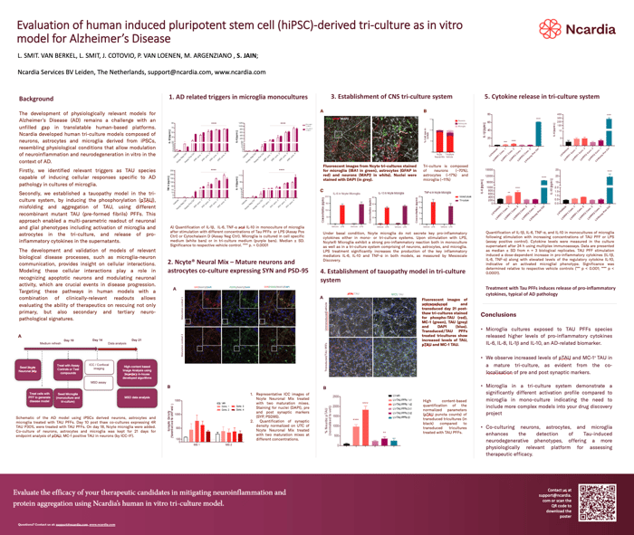 Screenshot 2025-10-31 at 9.34.21 AM