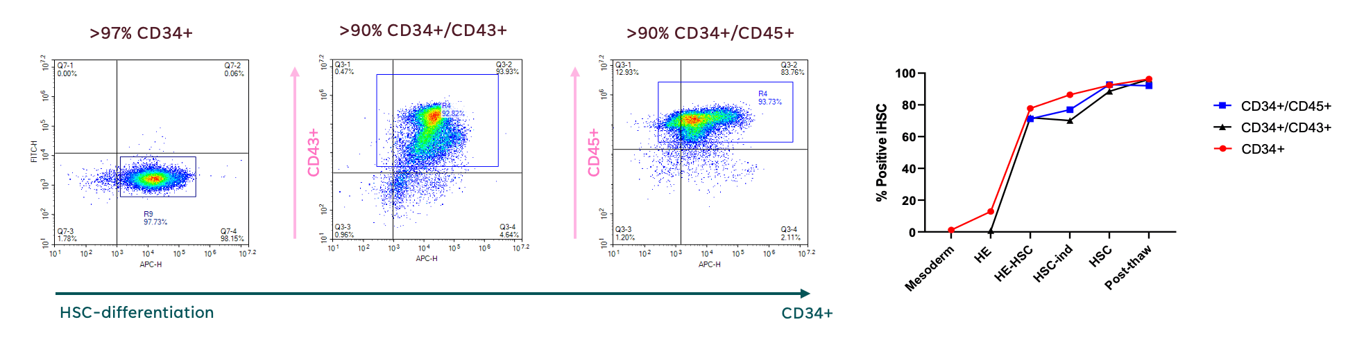 iPSC-Hematopoietic Stem Cells