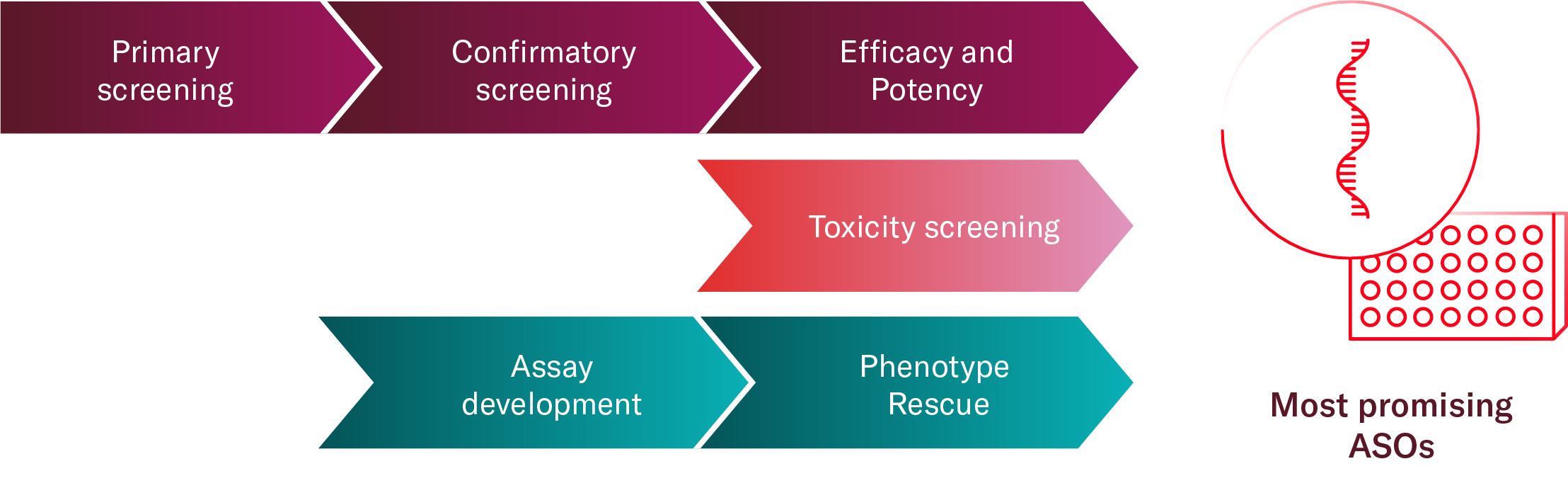 ASO discovery assays