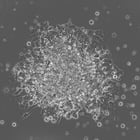 reprogramming-square