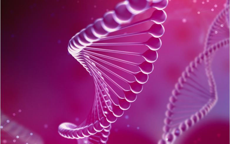 Ncardia Acquires STAR-CRISPR Technology for Advanced Gene Editing of iPSCs