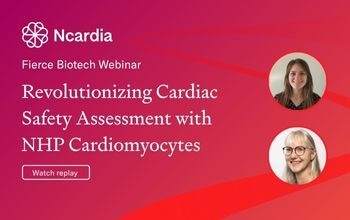 Revolutionizing Cardiac Safety Assessment with NHP Cardiomyocytes