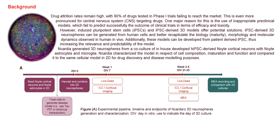 Ncardia post featured image