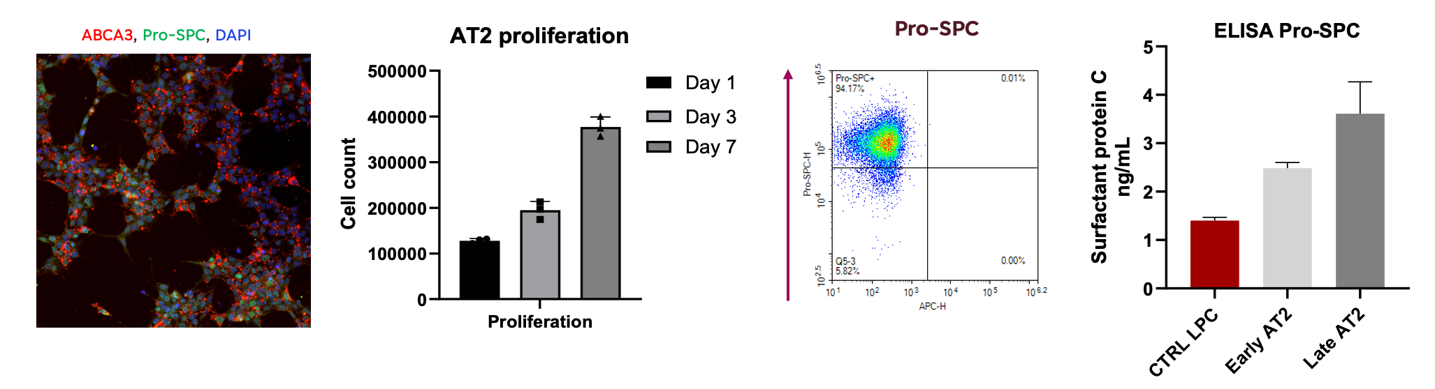 iPSC Alveolar Type II Cells